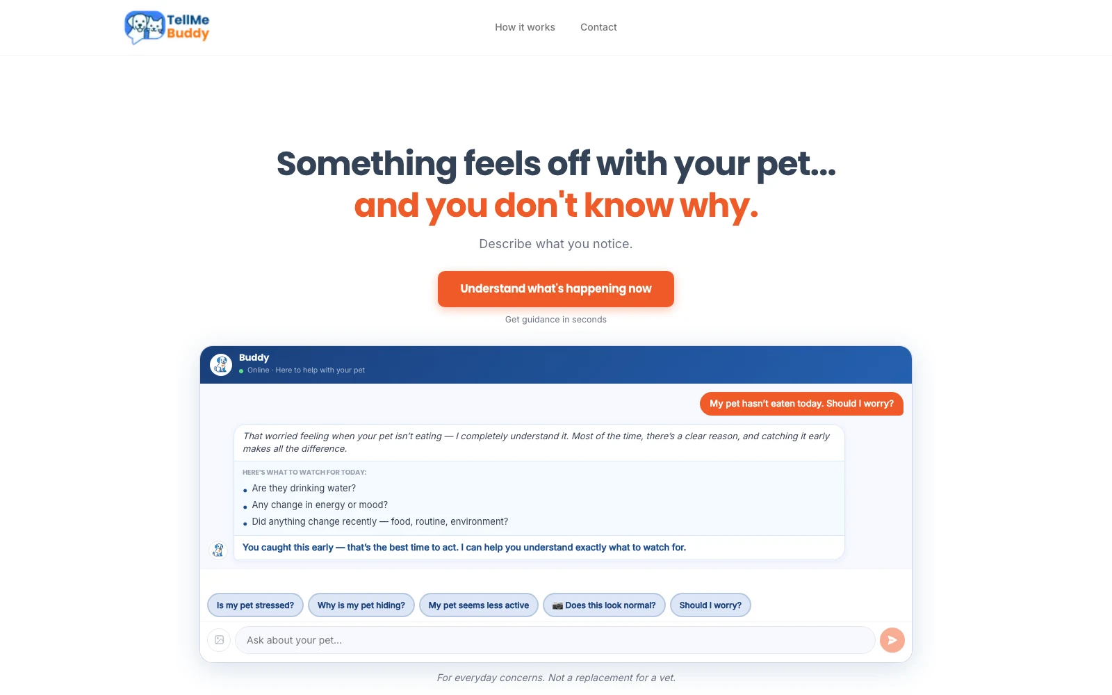 TellMeBuddy AI pet companion homepage experience