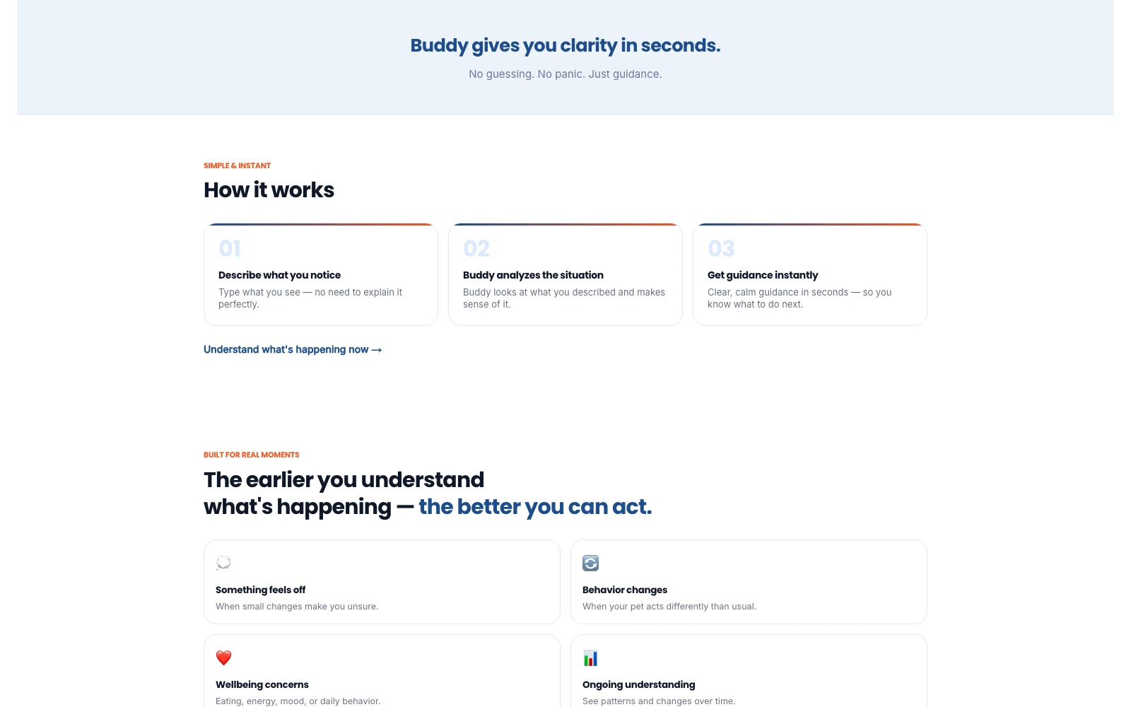 TellMeBuddy product flow and how-it-works section